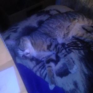 Meet your Posher, Sally